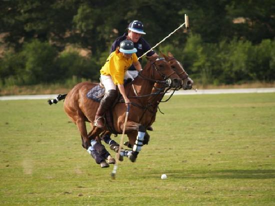 Polo Wicklow